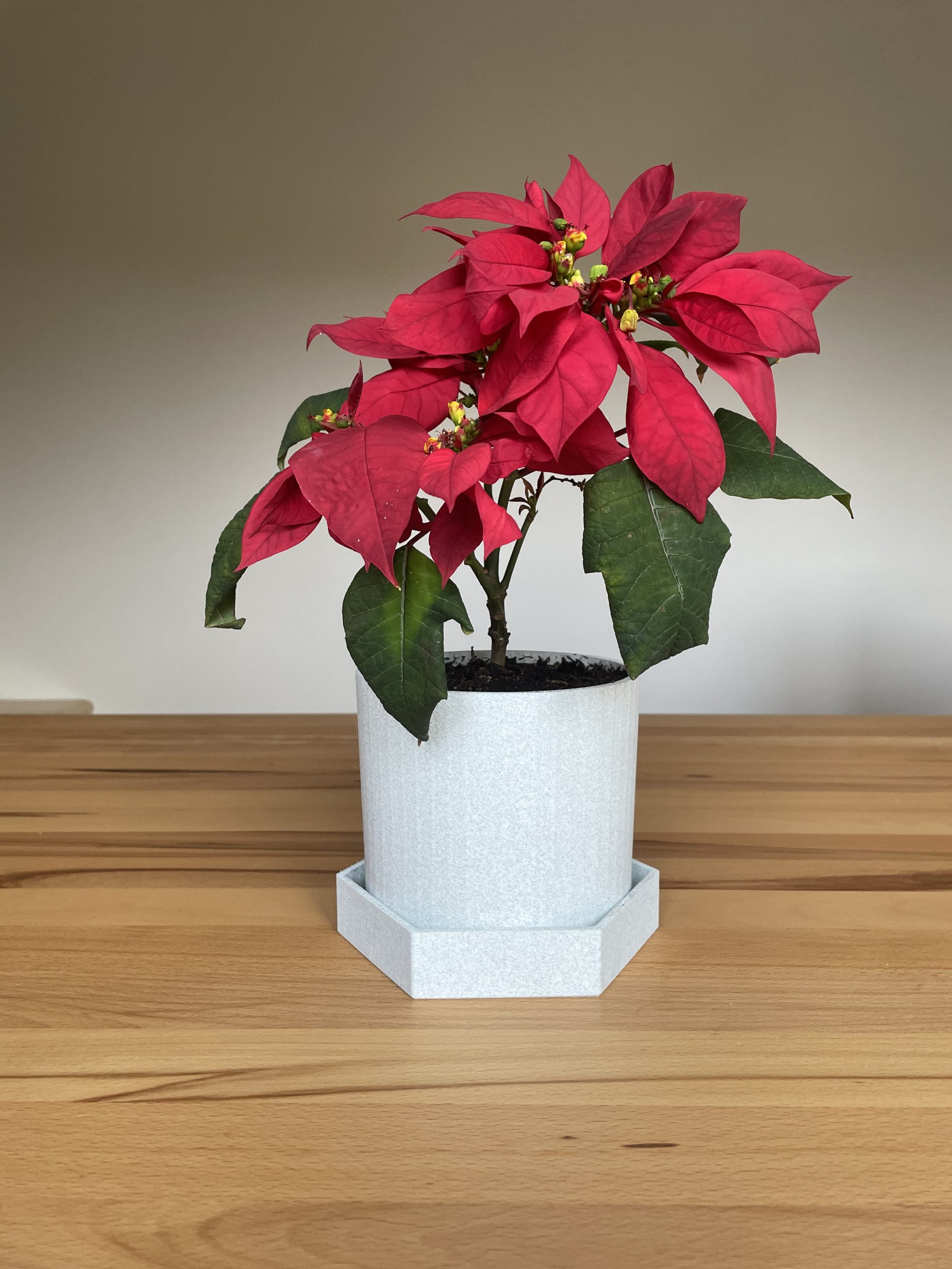 Exklusives Endprodukt aus unserer 3D-Druck Manufaktur